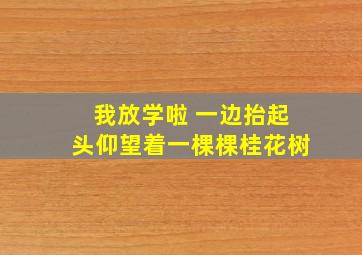 我放学啦 一边抬起头仰望着一棵棵桂花树